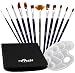EXCLUSIVE PRESALE- 12 Piece Paint Brush Set, Nylon Art Brushes for Acrylic, Watercolor, Oil, Nail, Face Painting & More, Includes Portable Case & Bonus Palette, Long Handle & Easy to Clean