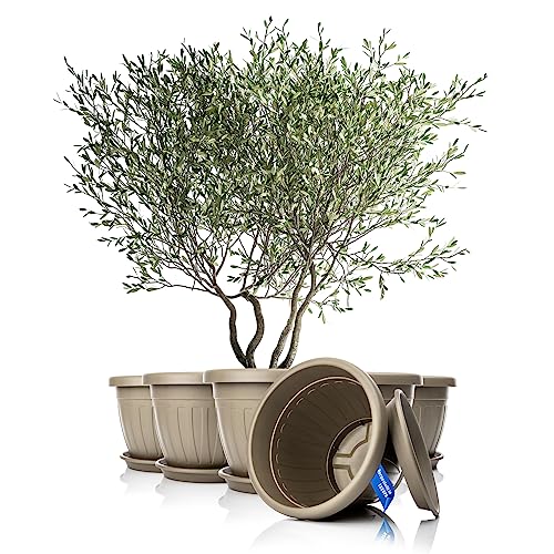 BigDean 6x Blumentopf mit Untersetzer rund ø50xH38 cm Mokka/braun - wetterfester Pflanzkübel - Wasserablauf UV-beständig aus bruchsicherem Kunststoff - Innen + Außen geeignet - Made in Europe