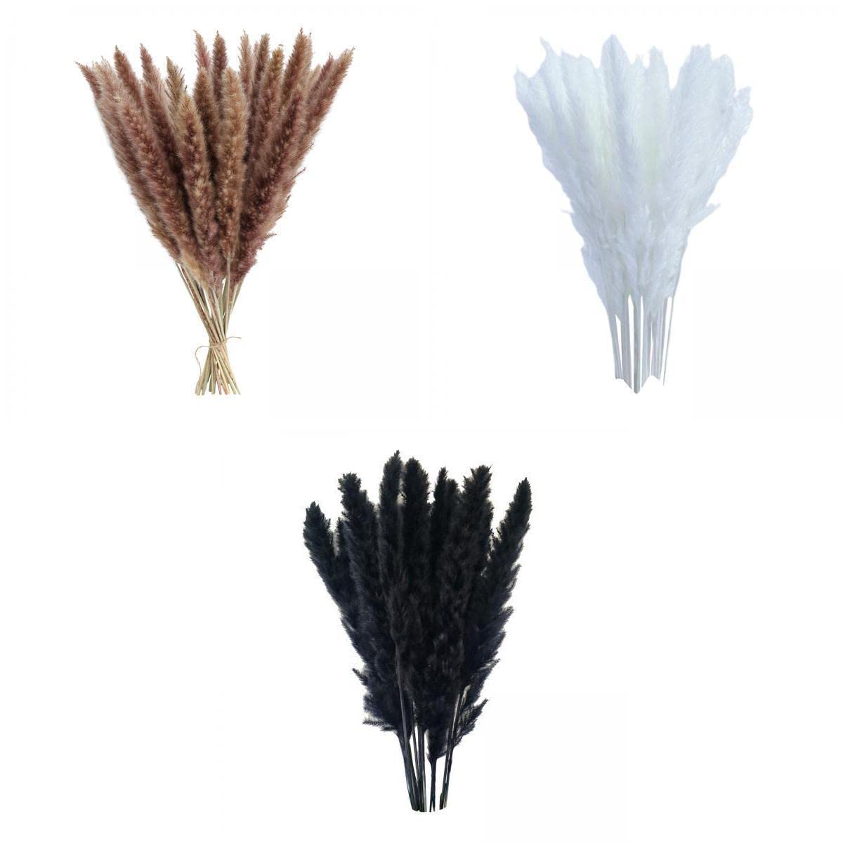 45Pcs Dried Pampas Grass Phragmites Reed Flower Bunch Home Wedding Decor-image-25