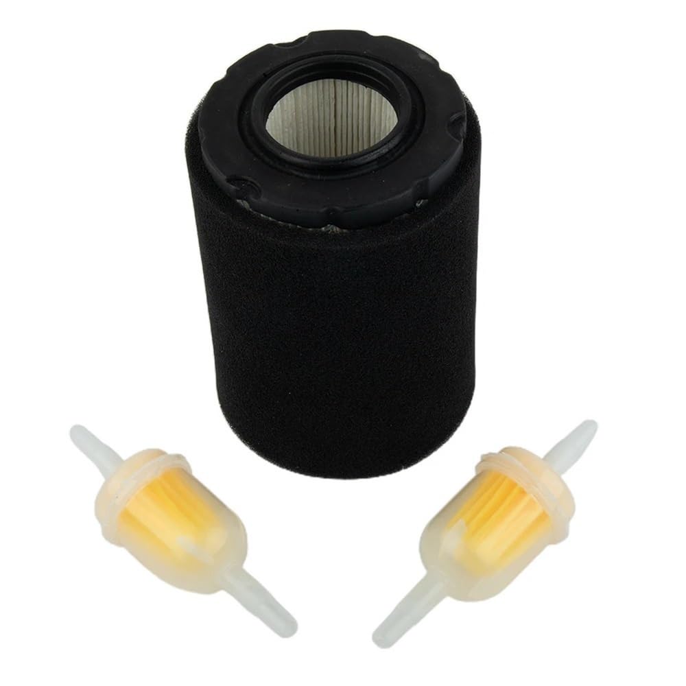Filtre à carburant pour moteurs 796031 590825 et tondeuse à gazon