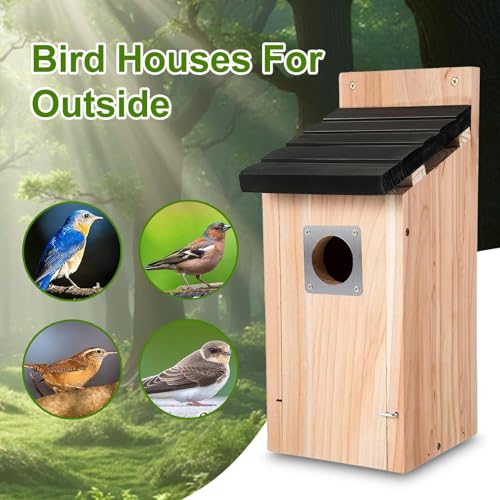 Nid d'oiseau suspendre cabane colibri nichoir bois étanche extérieur - 7
