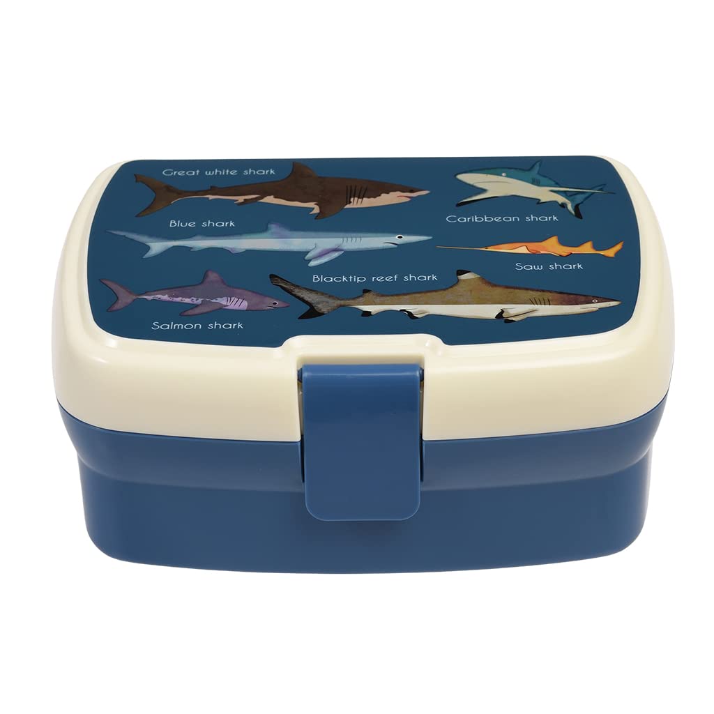 Rex London Kids Lunch Box, Bento Box with Compartments, Small Lunchbox for Pack Lunch, Sectioned Food Container, Durable Lunch Box for Kids School Meals and Snacks
