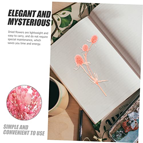 EXCEART 3 Conjuntos De Flores Secas Imortalidade Flores Preservadas Feitas À Mão Flores Naturais Pla