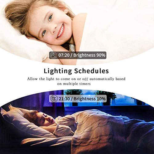 Lesim Smart Wi-Fi Dimmer Switch 2Gang Compatible With Alexa And Google Assistant, Single Pole, Needs Neutral Wire #TOP5