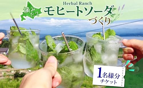 北海道 モヒート ソーダ 作り 体験 ハーブ ミント サイダー ノンアルコール ノンアル オリジナル 天然 リラックス 癒し リラクゼーション 健康 ハーバルランチ 洞爺湖