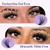 B&Q Fluffy Lash Clusters Kit 100D+200D Dramatic Eyelash Clusters Kit 10-18MM 0.05MM Wispy Lash Thick Volume DIY Individual Lashes 3D Mega Eye Lashes Suitable for Beginners at Home(KIT-100D+200D)