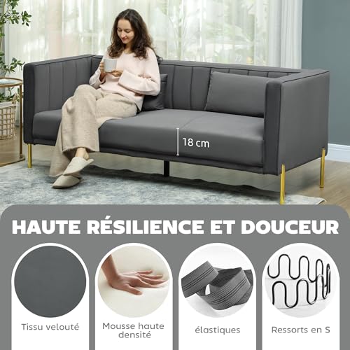 HOMCOM Canapé 3 Places, canapé en Velours 194,5 cm avec 2 Coussins Amovibles, Bandes élastiques et Ressorts en S, pour Chambre à Coucher, Salon et Bureau à Domicile, Gris foncé – Image 6