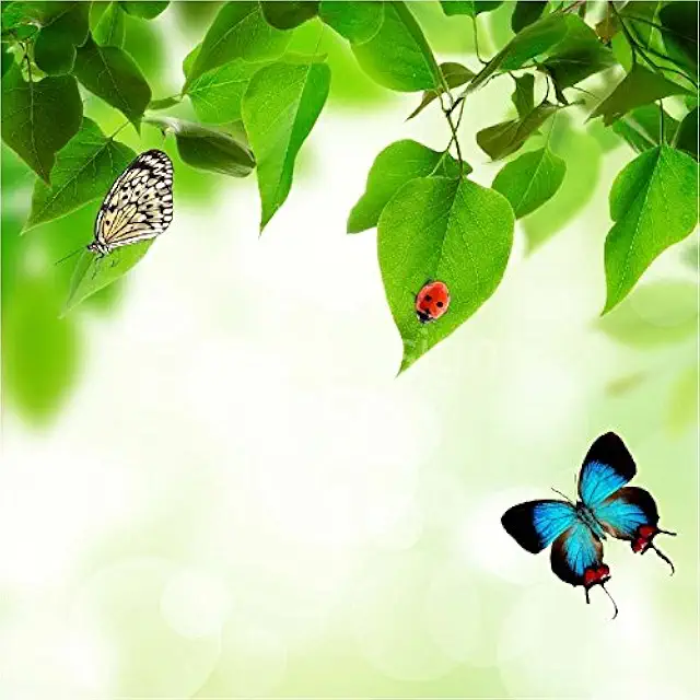 Sticker Boîte aux Lettres Nature Papillons 30x30cm - SABAL0131