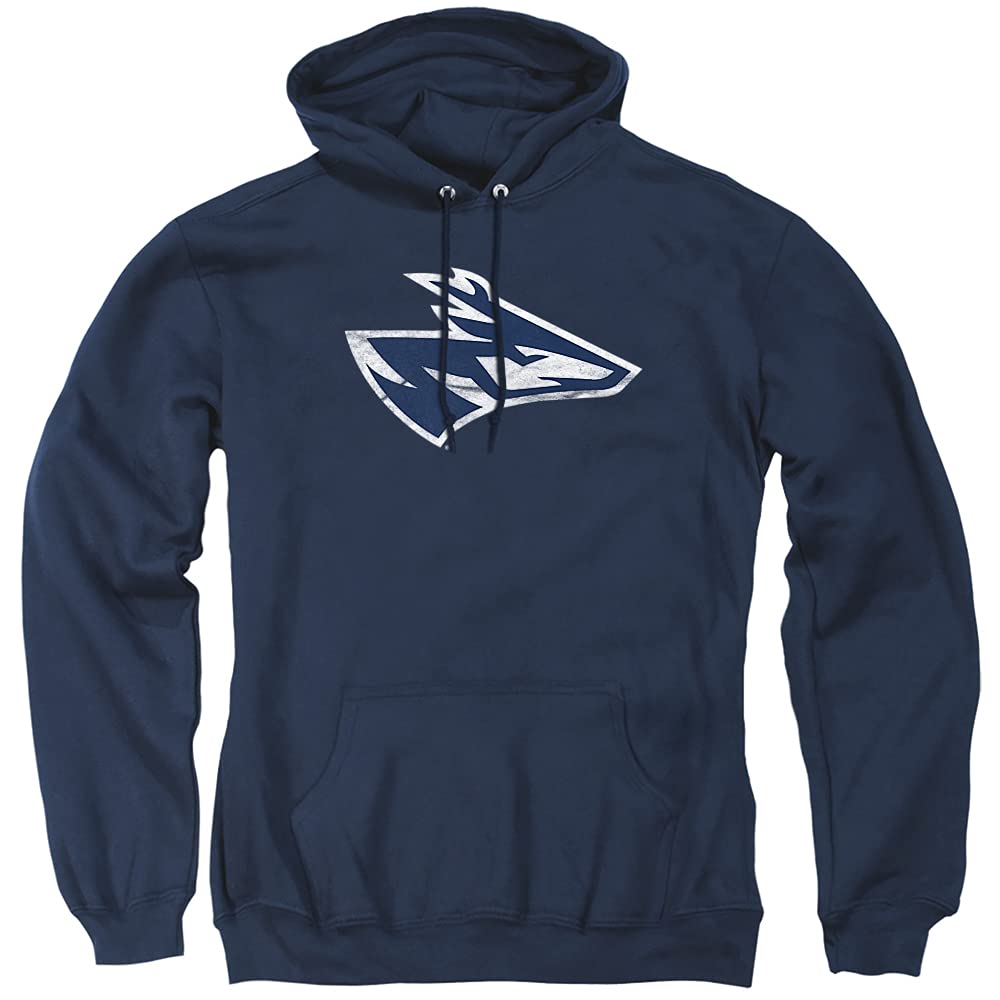 LOGOVISION Official Collegiate Distressed Primary Logo Adult Pullover Hoodie Collection — view 501