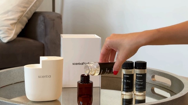 Amazon.com: Scentia Santal Sandalwood Fragrance Oil for Diffusers