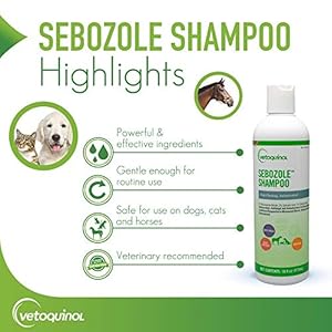 Vetoquinol Sebozole Pet Shampoo with Miconazole Nitrate 2% and Chloroxylenol 1%, 16oz