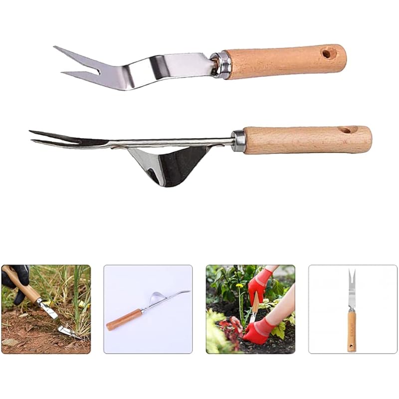 L3xa Cdjqre M L3xa Cdjqre M