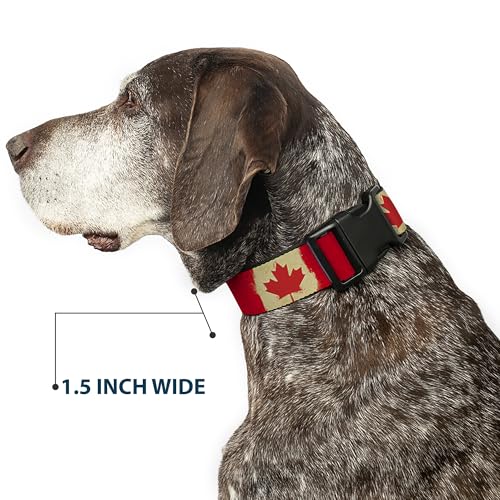 Collar para perros Buckle Down PC-W30367-NL ligero que evita tirones 8