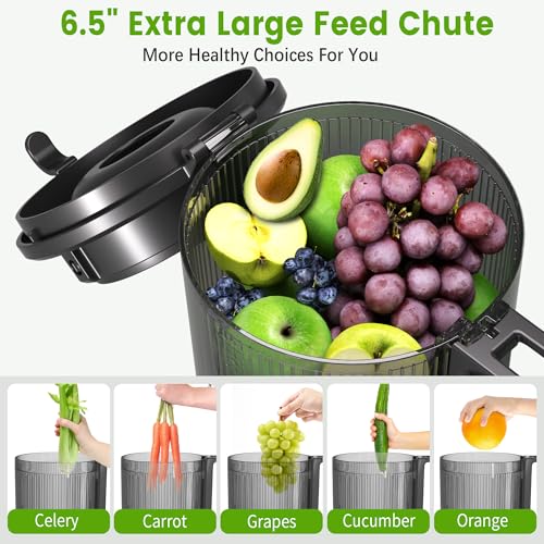 Cold Press Juicer, 6.5" Wide Feed Chute Juice Extractor Machine with Handle, High Juice Yield, 350W Professional Slow Masticating Juicer for Whole Vegetables & Fruits, Easy to Clean for Batch Juicing - Image 3