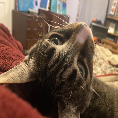 Let&rsquo;s talk about the times we get in a bit of a funk