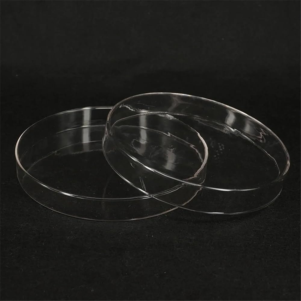Attrezzature e forniture di laboratorio Piastra di coltura Petri in vetro da 200 mm con coperchio for laboratorio