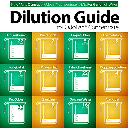 Image of OdoBan Multipurpose Cleaner Concentrate, 2 Gal, Original Eucalyptus Scent - Odor Eliminator, Disinfectant, Flood Fire Water Damage Restoration