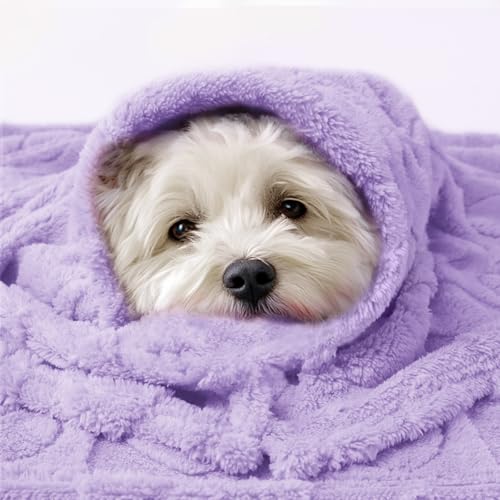 Luciphia Small Dog Blanket Washable Pet Bed Cover Soft Fluffy Puppy Blanket with Premium Fleece 300GSM Cozy Calming Cat Blankets for Indoor Cats Light Purple 30x20 inch