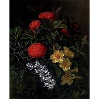 Amazon.co.jp: ガラスに咲くアーモンドの枝 16 枚の絵画 ヴィンセント