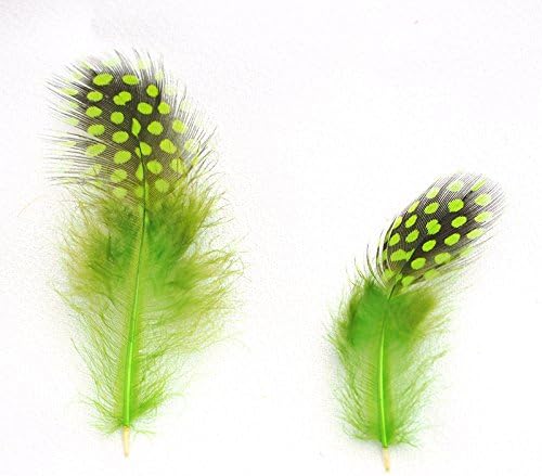 福袋 ホロホロ鳥 本 017 Fe 08 チャートリュース フェザーパーツ 羽根 羽毛 材料 素材 手芸 アクセサリー 花材 フラワーアレンジメント ハロウィン ドリームキャッチャー 仮装 ダンス 衣装 コスプレ Ege35 Codartbilisim Com Tr 福袋 ホロホロ鳥 本 017 Fe 08 チャートリュース フェザーパーツ 羽根 羽毛 材料 素材 手芸 アクセサリー 花材 フラワーアレンジメント ハロウィン ドリームキャッチャー 仮装 ダンス 衣装 コスプレ Ege35 Codartbilisim Com Tr