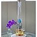 Aladdin Wall Mount Oil Lamp, Genie III Regency Fuel Lighting for Homesteaders or Emergencies, Amber Glass, 18 inches Tall, Nickel Trim