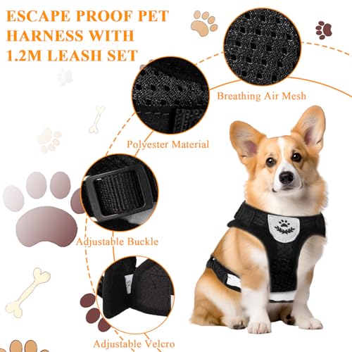 Verstellbarer Brustgurt mit reflektierender Leine - Geschirr & Leine Set für Welpen, Hunde & Katzen (XS)