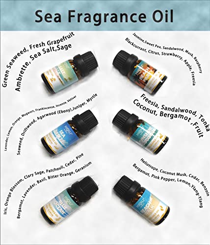 HIQILI Fragrance Oil, Gold Coast 6x10ml for Candle Scents Making, Scented Oils for Soy Candles Soap Slime Aromatherapy Diffuser, Premium Grade Essential Oil Set for Christmas Holiday - Image 4