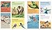 Barefoot Books Incredible Animals