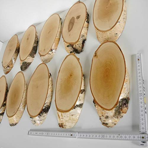 10 carteles de madera de abedul para trofeos con cornamenta, cornamenta, disco de árbol, cartel de madera natural, moderno con compartimento de pino