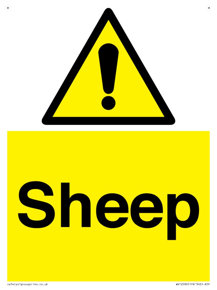 Sheep Sign - 150x200mm - A5P