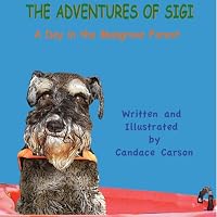THE ADVENTURES OF SIGI-A Day In The Mangrove Forest