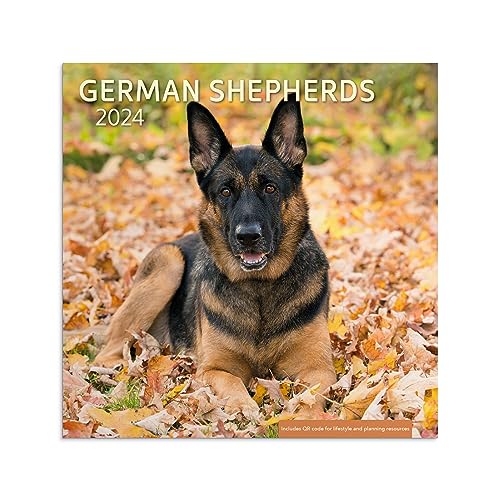 German Shepherd 2024 Wall Calendar - Dog Calendar - image 1