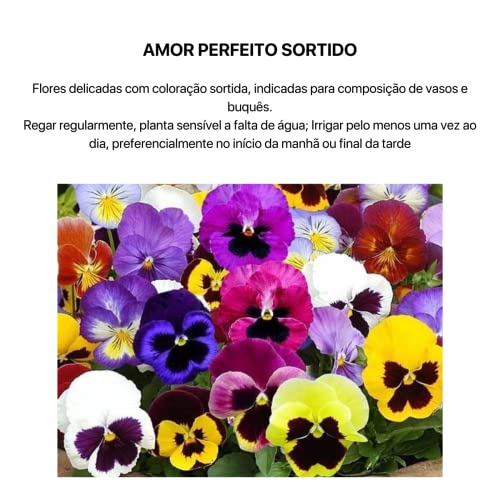 Kit 4 Sementes Flores Jardim Em Casa (Amor Perfeito, Tagetes, Boca de Leão, Zínia)