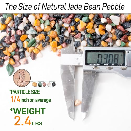Image of CJGQ 2.4lb Aquarium Gravel for Plants, 1 /4Inch Fish Tank Gravel for Succulent Cactus and Bonsai, Decorative River Rocks Pebbles for Gardening, Flower Pots, Landscaping,Terrarium