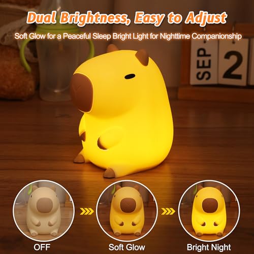 Veilleuse capybara silicone haut de gamme à intensité variable