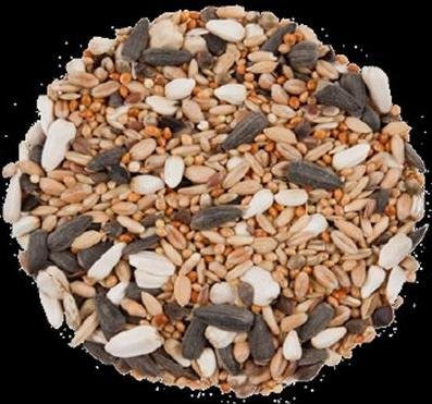 25 kg Großsittichfutter, Vogelfutter, Futter Sittich