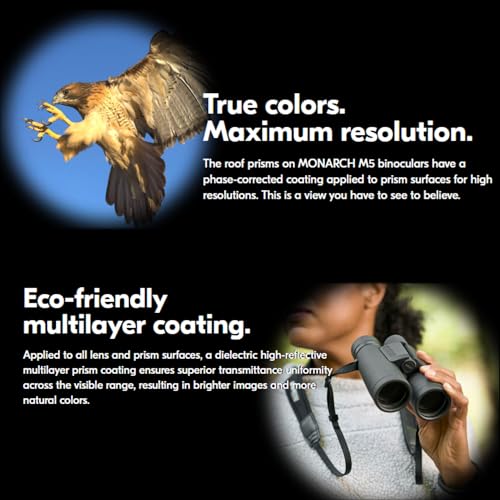 Nikon Monarch M5 8x42 Binocular compacto negro miniatura 4