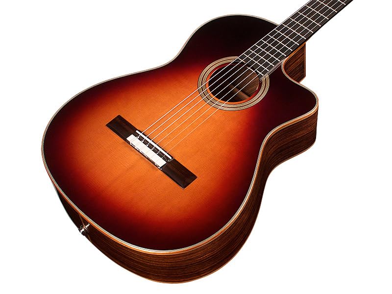 ACOUSTIC FUSION ギタースコア Ibanez PF5-MS-14-02 Acoustic Guitar - Blue Burst - Evolution