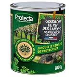 GOUDRON DE PIN des Landes 800 gr