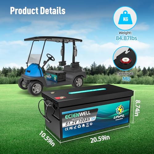 Image of 48V(51.2V) 100Ah Golf Cart Lithium LiFePO4 Battery with Bluetooth&APP, 15000+ Deep Cycle Battery with LCD Monitor, EV A+ Rated Cells Batteries with 200A BMS for Golf Cart, Lawn Mower, Solar System, RV