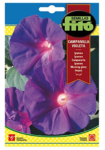 Semillas Fitó 3103 - Semillas de Ipomea Campanilla Violeta