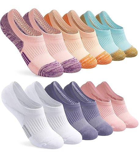 Toes Home No-Show Socks 6-Pack (Women's)
