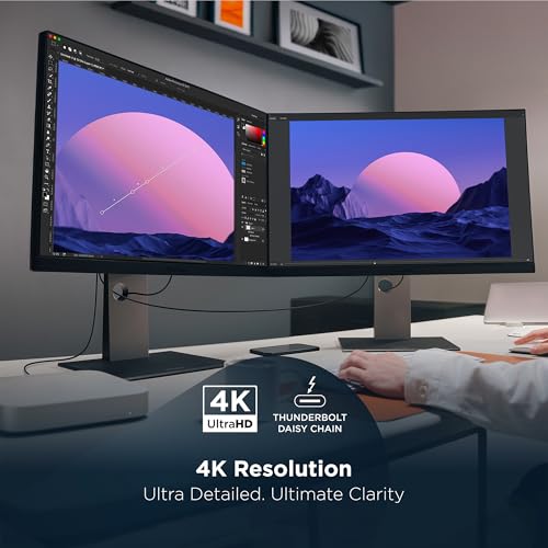 ViewSonic VP2488-4K 24 Inch 4K Mac-Ready Monitor with 100% sRGB, 98% DCI-P3, Pantone Validated, Advanced Ergonomics, Thunderbolt 4, USB Hub, HDMI, and DP for Home and Office - Thumbnail 4