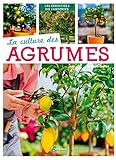 La culture des agrumes...