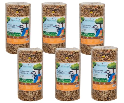 JCs Wildlife Bugs Nuts and Berries Bird Seed Cylinder with Hole No Mess No Filler Wild Bird Food for Outside Feeders Attracts Bluebirds Woodpeckers Cardinals Wrens Made in the USA 1.5 lb Pack of 6