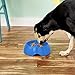 Dogit Dog Bowl Slow Feeder for Wet or Dry Dog Food, Go Slow Anti-Gulping Dog Dish, Blue, M