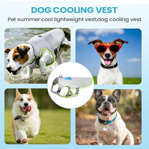 Chaleco refrigerante para perros de verano transpirable ropa ligera 5