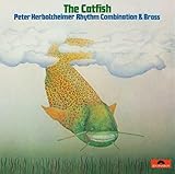  The Catfish