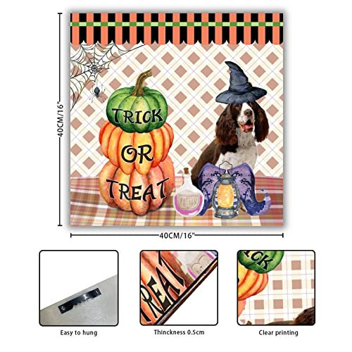 Panneau citrouille en bois d'Halloween avec teckel déco 40cm