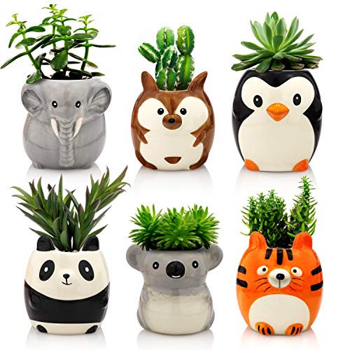Animal Ceramic Succulent Planters Set of 6 | 2.5 Inch Small Cactus Pots with Drainage Hole Cute Gift Penguin Koala Panda Tiger Elephant Kangaroo (Safari Animals)
